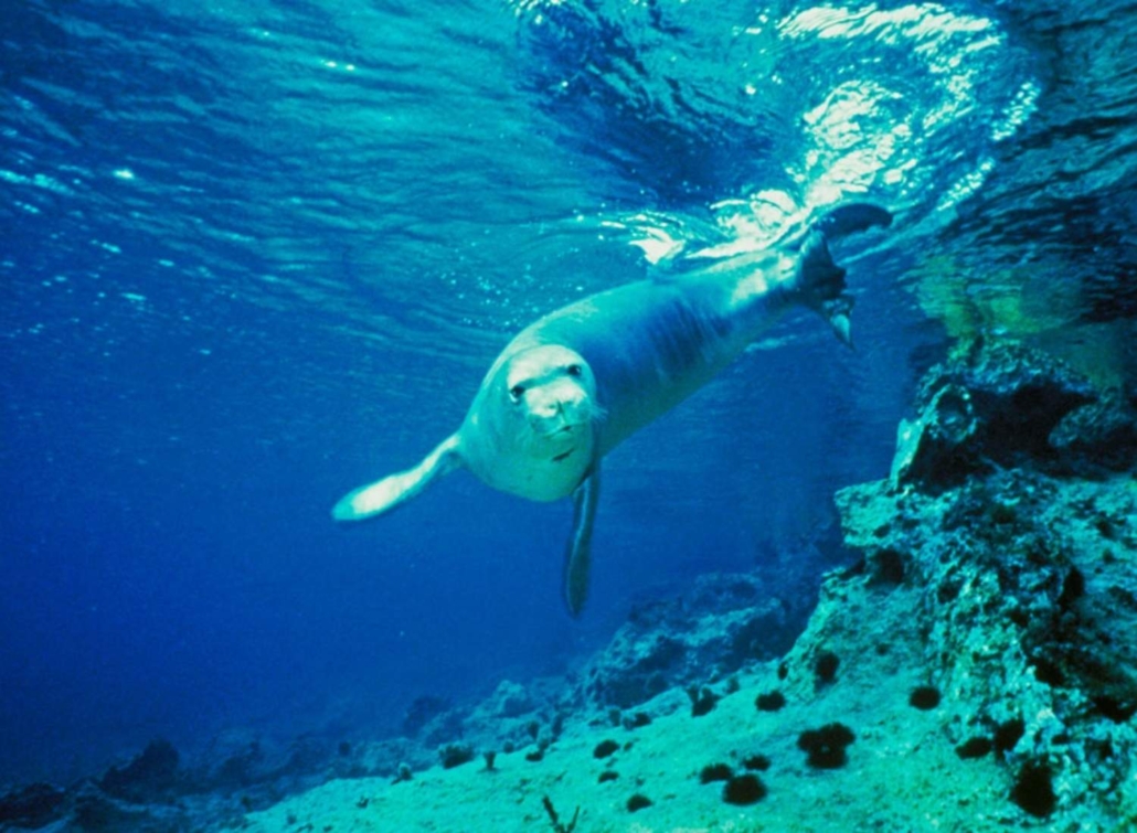 ©imageBROKER.comAlamy Stock Photo