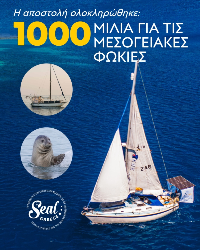 Seal Greece outro graphics (1)